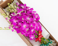 BloomsyBox