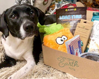 Pure Earth Pets Eco Friendly Dog Box