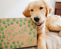 Pure Earth Pets Eco Friendly Dog Box