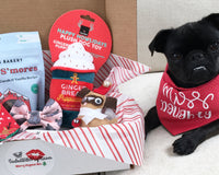 SealedWithPugKisses Specialty Dog Boxes