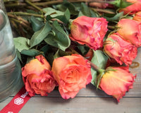BloomsyBox