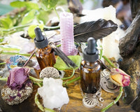 The Witches Roots™ by The Witches Moon®