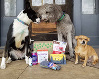 Pure Earth Pets Eco Friendly Dog Box