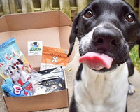 Pure Earth Pets Eco Friendly Dog Box