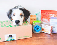 Pure Earth Pets Eco Friendly Dog Box