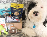 Pure Earth Pets Eco Friendly Dog Box