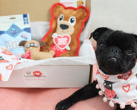 SealedWithPugKisses Specialty Dog Boxes