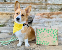 Pure Earth Pets Eco Friendly Dog Box