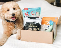 Pure Earth Pets Eco Friendly Dog Box