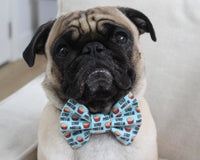 SealedWithPugKisses Specialty Dog Boxes