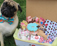 SealedWithPugKisses Specialty Dog Boxes